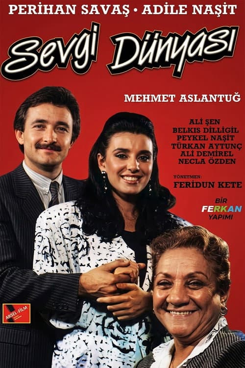 Poster for Sevgi Dünyası
