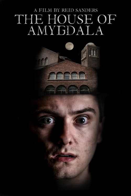 Poster for The House of Amygdala