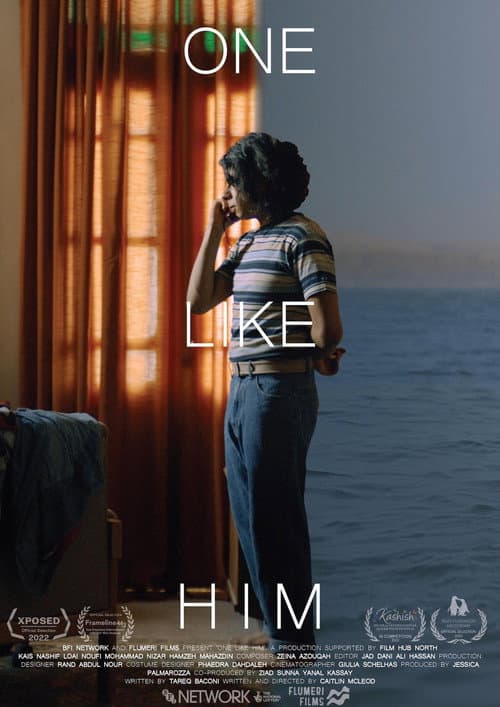 Poster for One Like Him