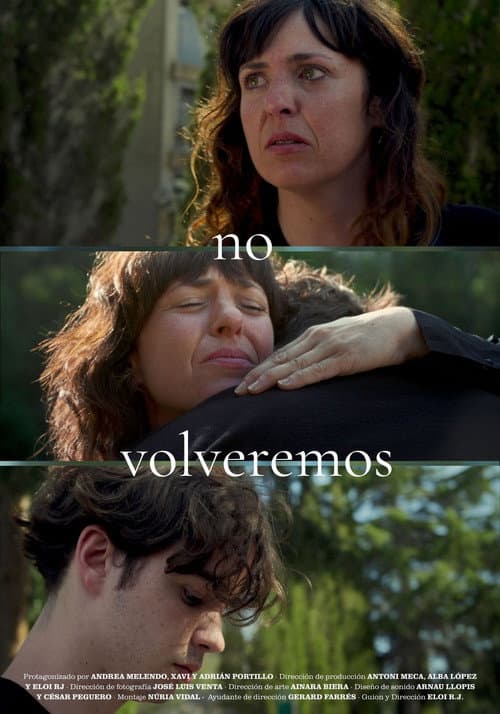 Poster for No volveremos