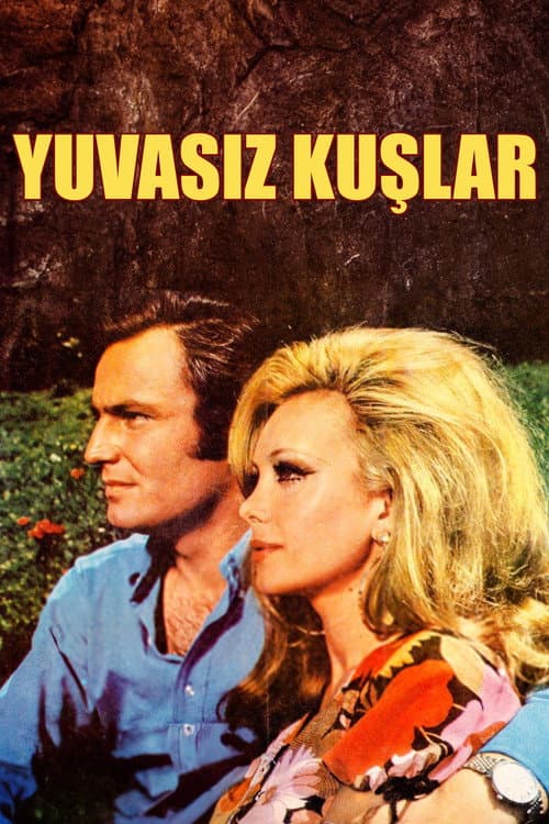 Poster for Yuvasız Kuşlar