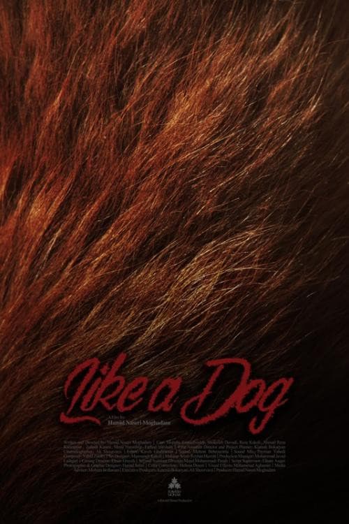 Poster for Like A Dog