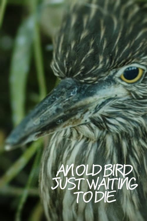 Poster for An Old Bird Just Waiting To Die