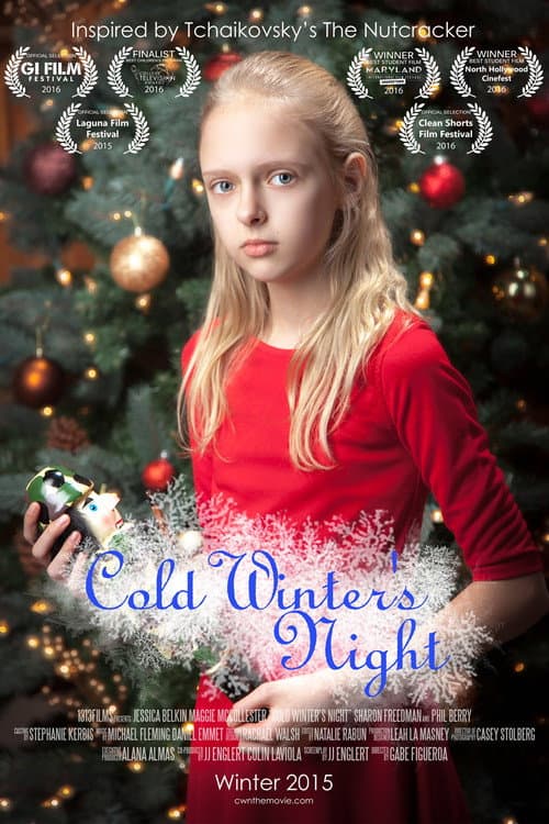 Poster for Cold Winter's Night
