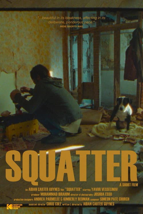 Poster for Squatter