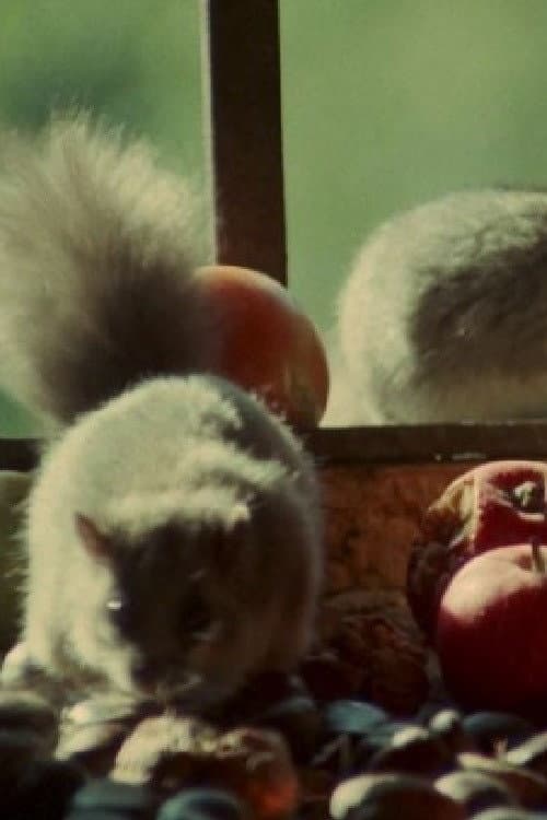 Poster for Dormouse