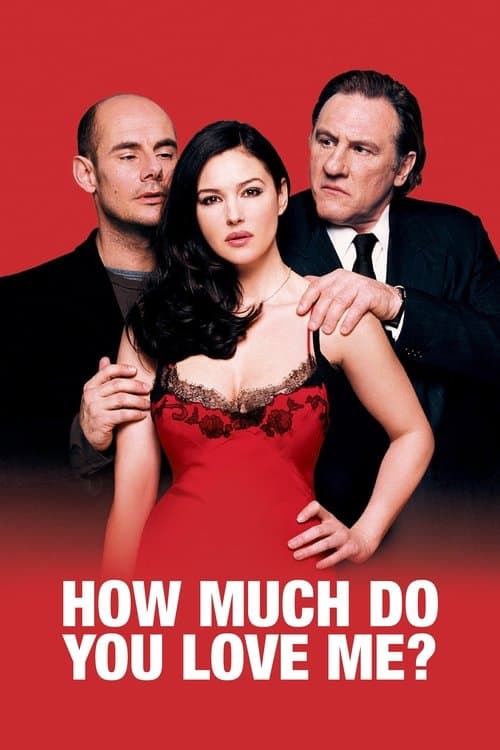 Poster for How Much Do You Love Me?