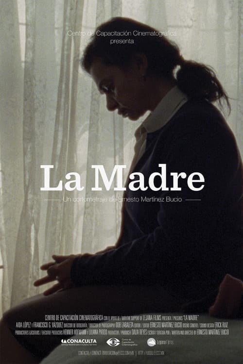 Poster for The Mother