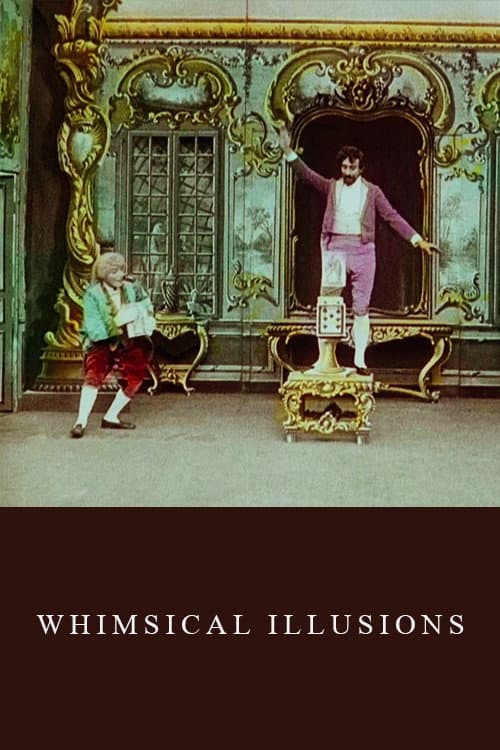 Poster for Whimsical Illusions