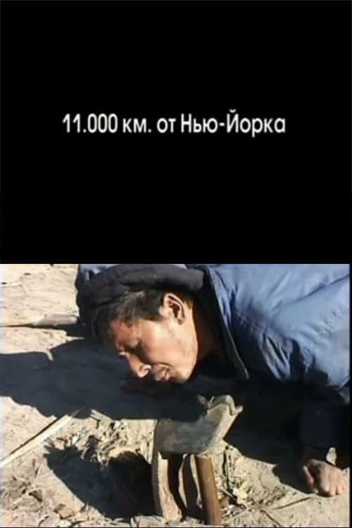 Poster for 11.000 km from New York