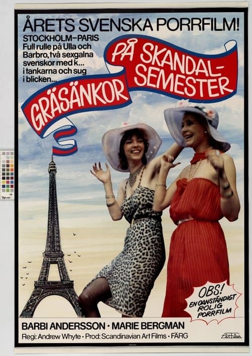 Poster for Crazy Swedish Holidays in Paris