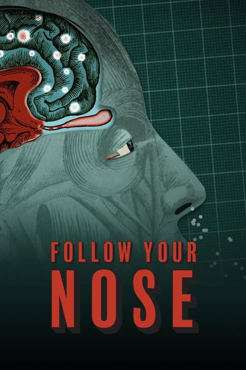 Poster for Follow Your Nose: Cracking Smell's Code