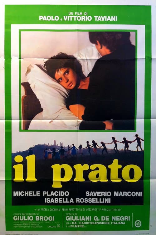 Poster for The Meadow