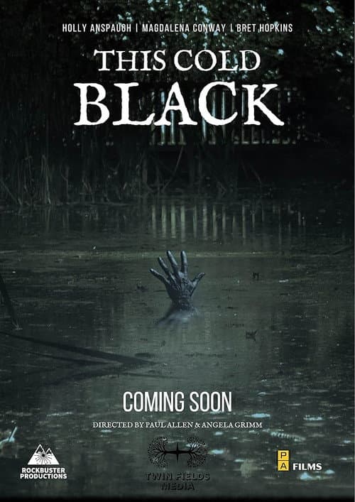 Poster for This Cold Black