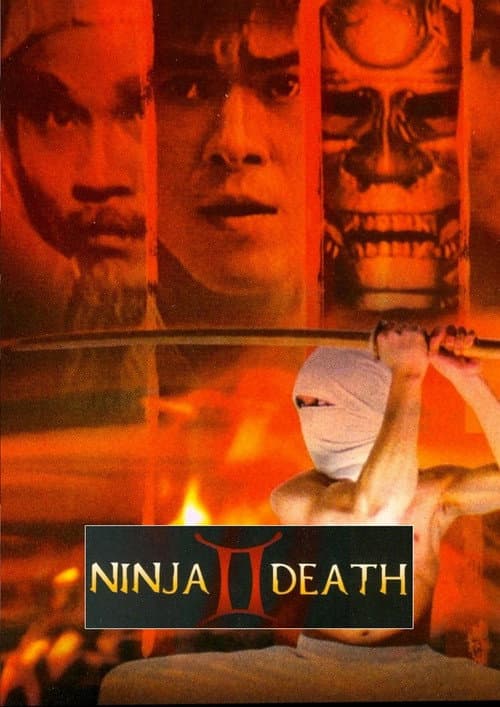 Poster for Ninja Death 2