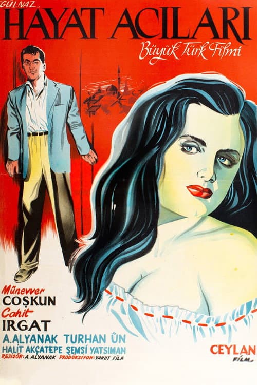 Poster for Hayat Acıları