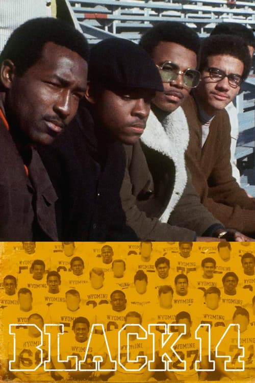 Poster for The Black 14