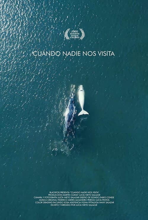 Poster for Cuando nadie nos visita