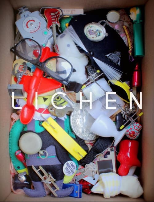 Poster for Lichen