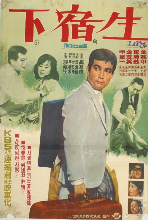 Poster for A Student Boarder