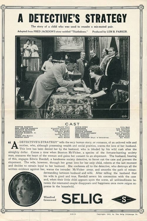 Poster for A Detective's Strategy