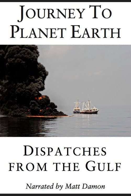 Poster for Dispatches from the Gulf