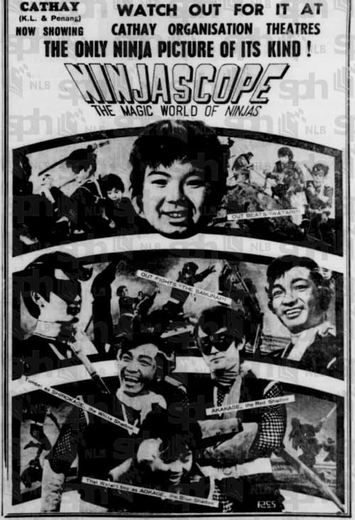 Poster for Ninjascope: The Magic World of Ninjas