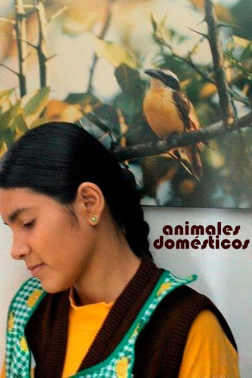 Poster for Animales Domésticos