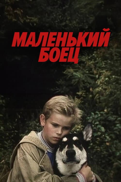 Poster for Little Fighter