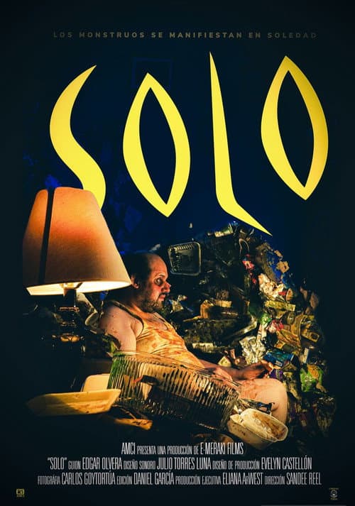 Poster for Solo