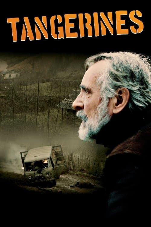 Постер до фільму «Мандарини»