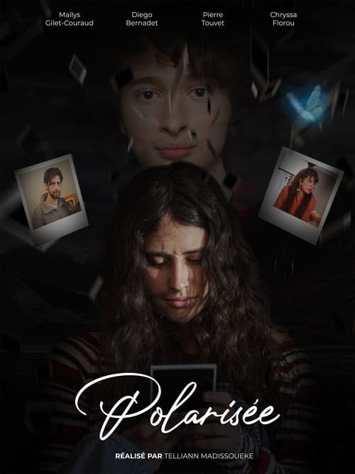 Poster for Polarized