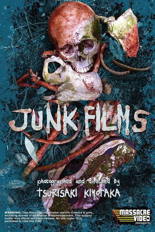 Poster for Junk Films