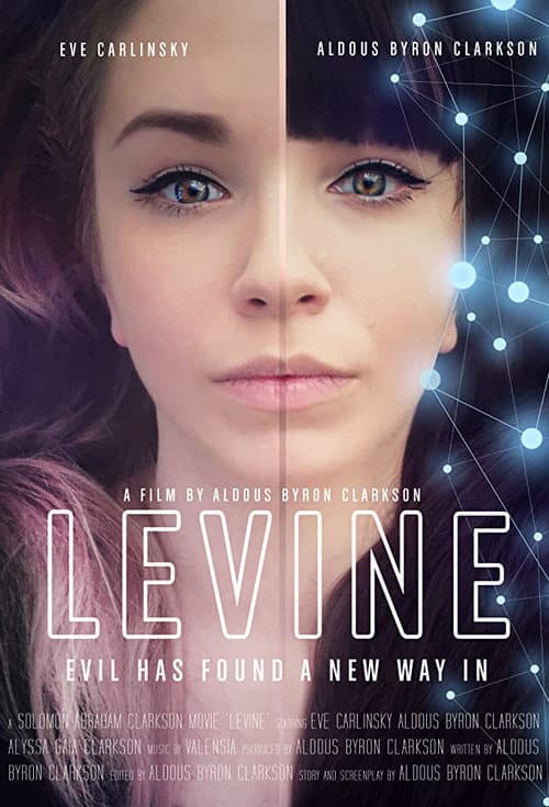 Poster for Levine