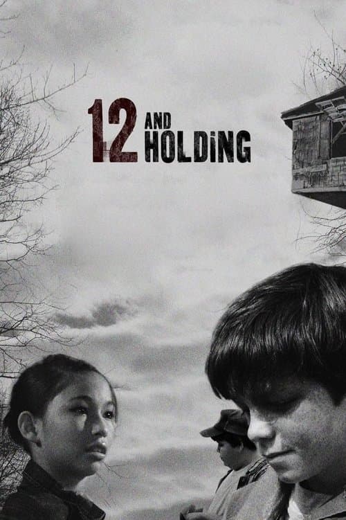 Poster for 12 and Holding
