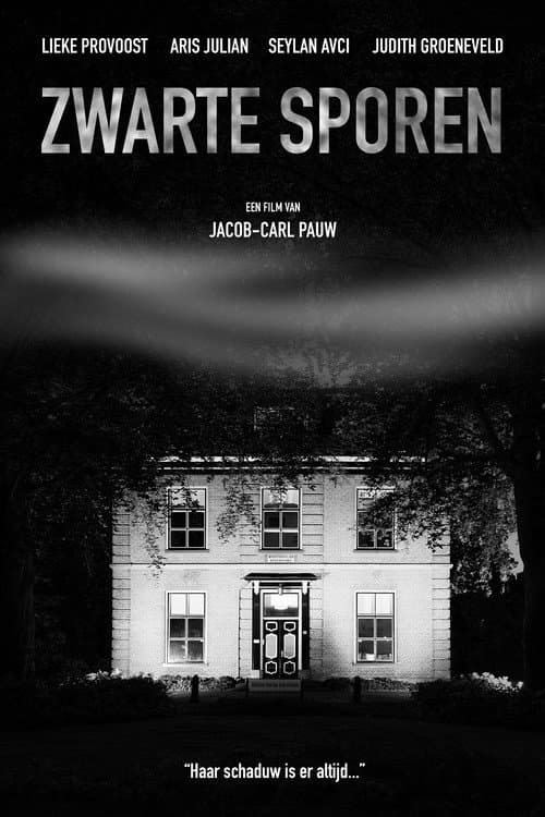 Poster for Zwarte Sporen