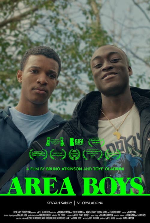 Poster for Area Boys