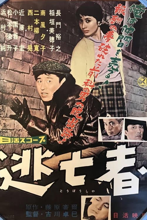 Poster for The Fugitive