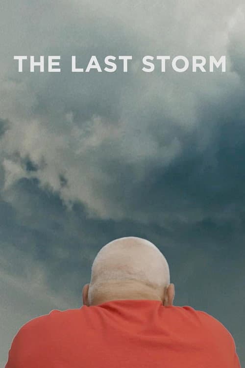 Poster for The Last Storm