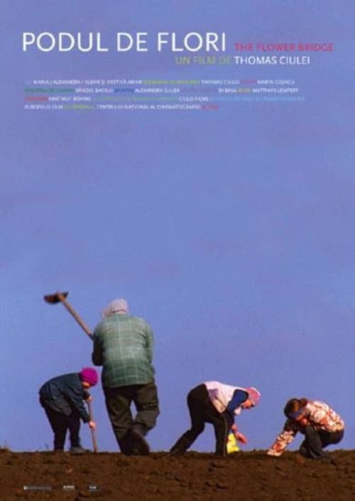 Poster for The Flower Bridge
