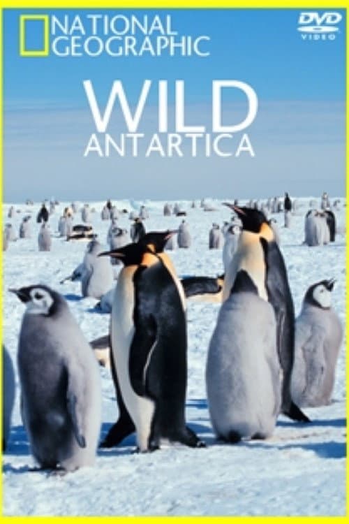 Poster for Wild Antarctica