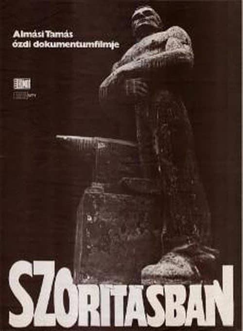Poster for In A Vise