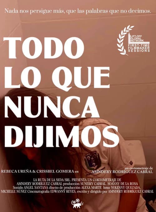 Poster for The Words We Never Said