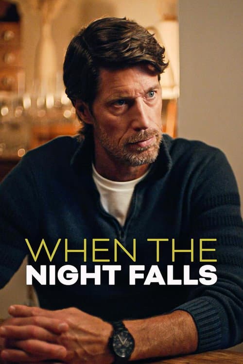 Poster for When the Night Falls