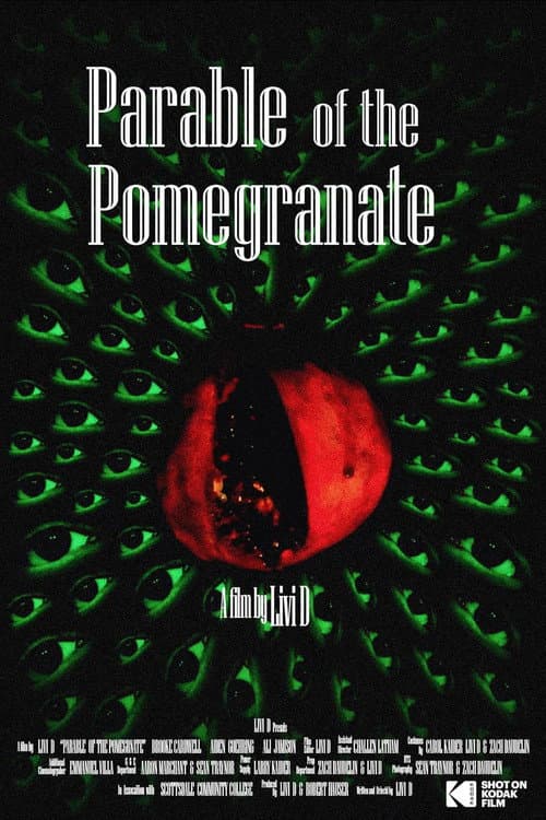 Poster for Parable of the Pomegranate