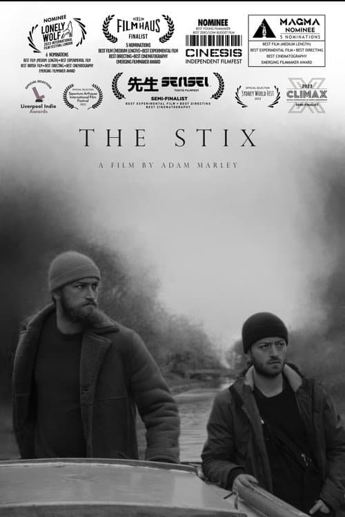 Poster for The Stix