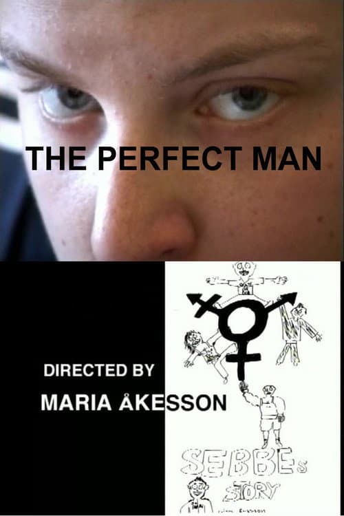Poster for The Perfect Man