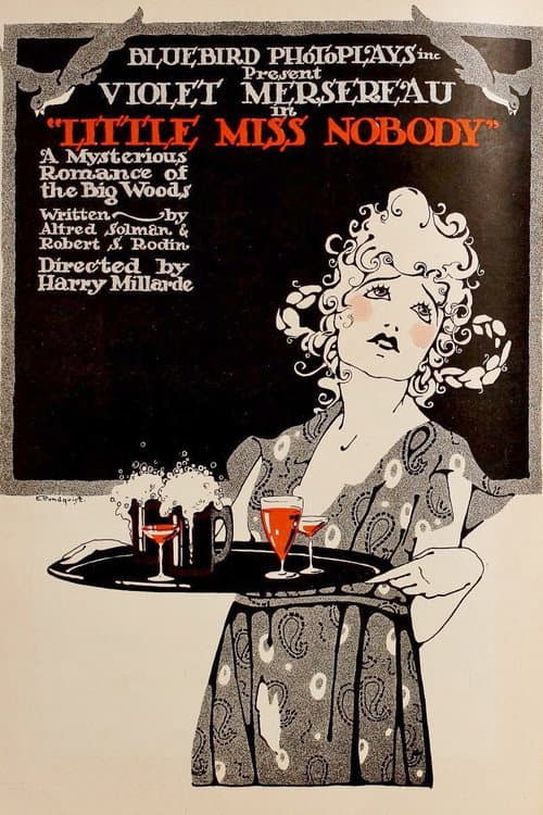 Poster for Little Miss Nobody