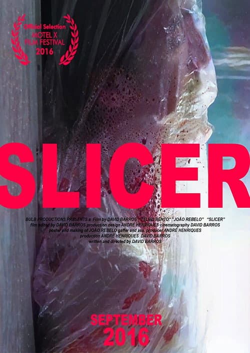 Poster for Slicer