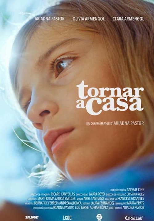 Poster for Tornar a casa